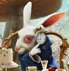 white rabbit time